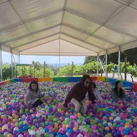 コールドストリーム Yarra Valley Badgers Brook Winery 2ヴィラ エクステリア 写真